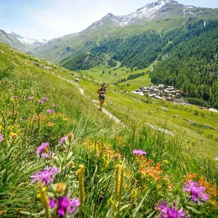 Apartmán Mont Du Soleil - Mont Blanc Chamonix